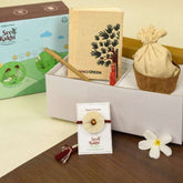 Dhavala Seed Rakhi, Planter, Notepad Gift Hamper